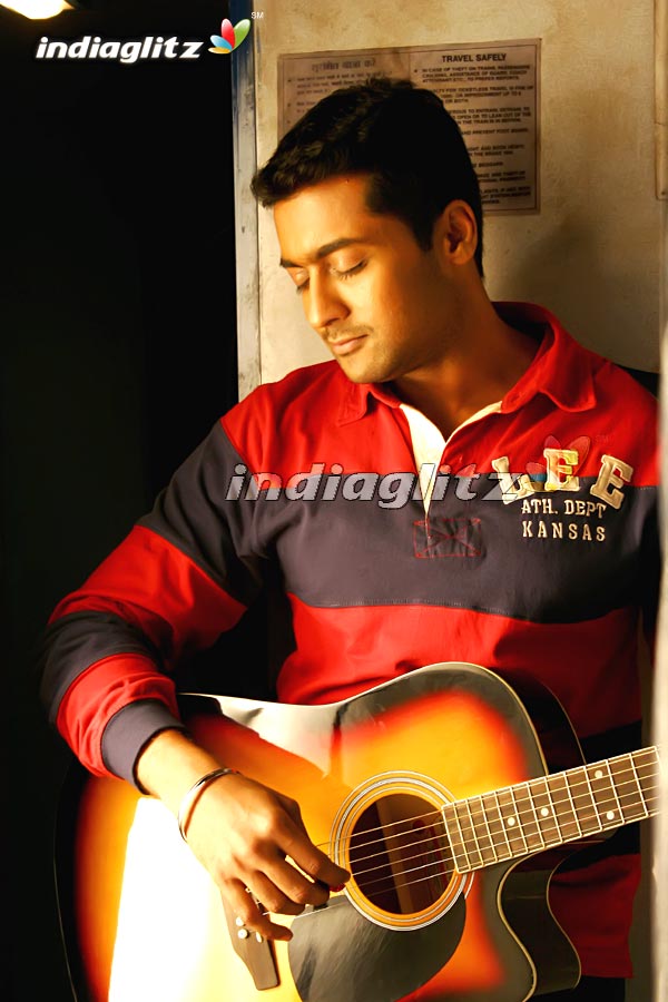 lovely surya